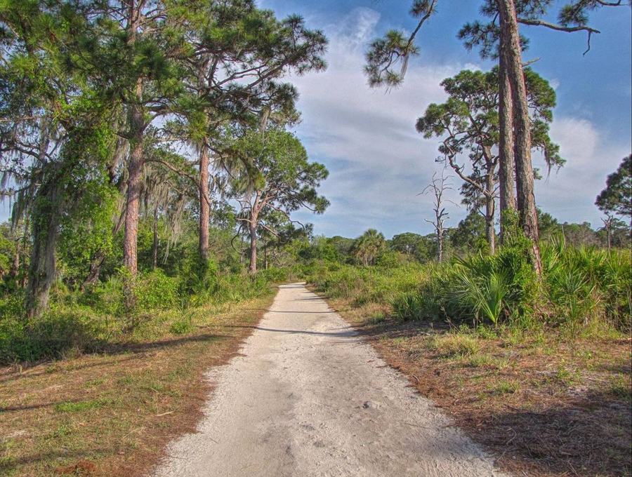 Trail through pine flatwoods at Boyd Hill Nature Preserve